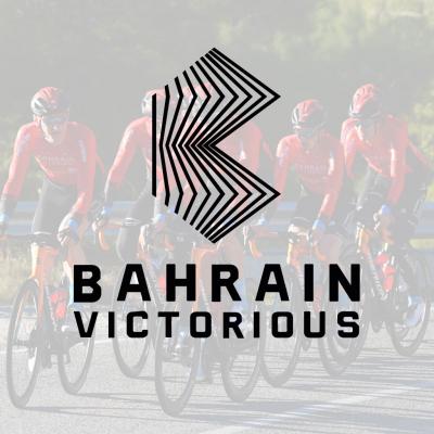 Partnership: Bahrain Victorius